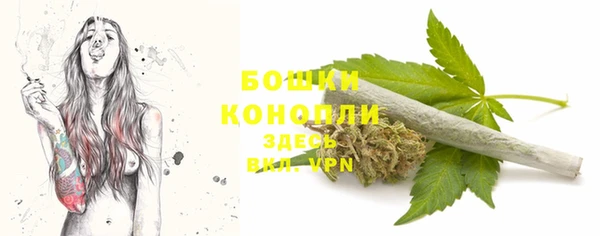 прущие грибы Беломорск