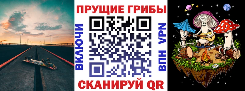 Псилоцибиновые грибы GOLDEN TEACHER  Волгореченск 
